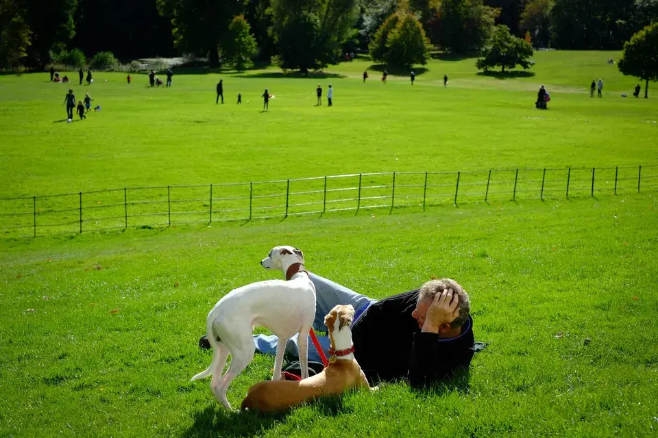 mold removal Harrisburg